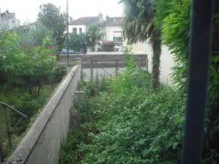 Viewing house and garden, we saw our first boat passing by end of garden