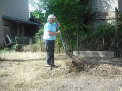 Irene clearing garden