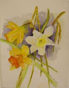 Daffodils Water Colour