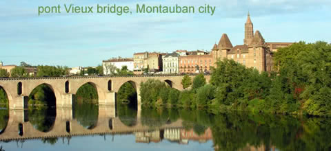 Pont Vieux at Montauban